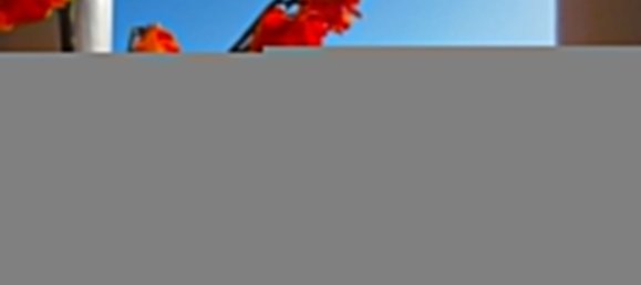 7 bedrooms House in Marbella, Spain No. 147151 17