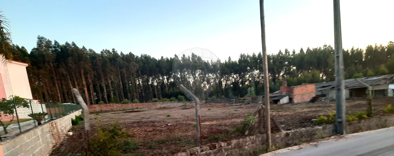 3950m² Land in Pombal, Portugal No. 81744
