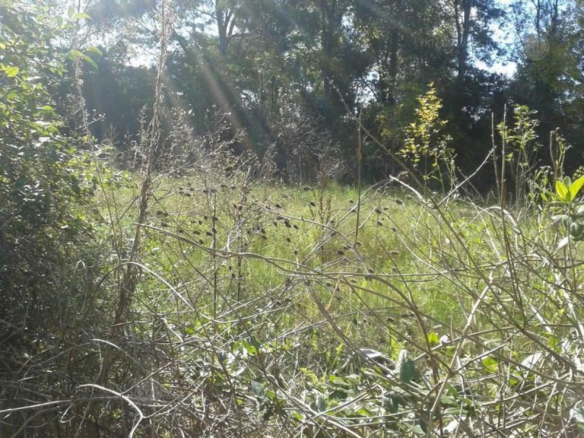 Terreno em Tigre, Argentina N.º 41894