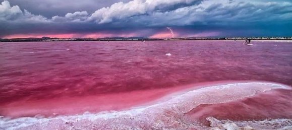 2 chambres Appartement à Alicante, Spain No. 288616 11