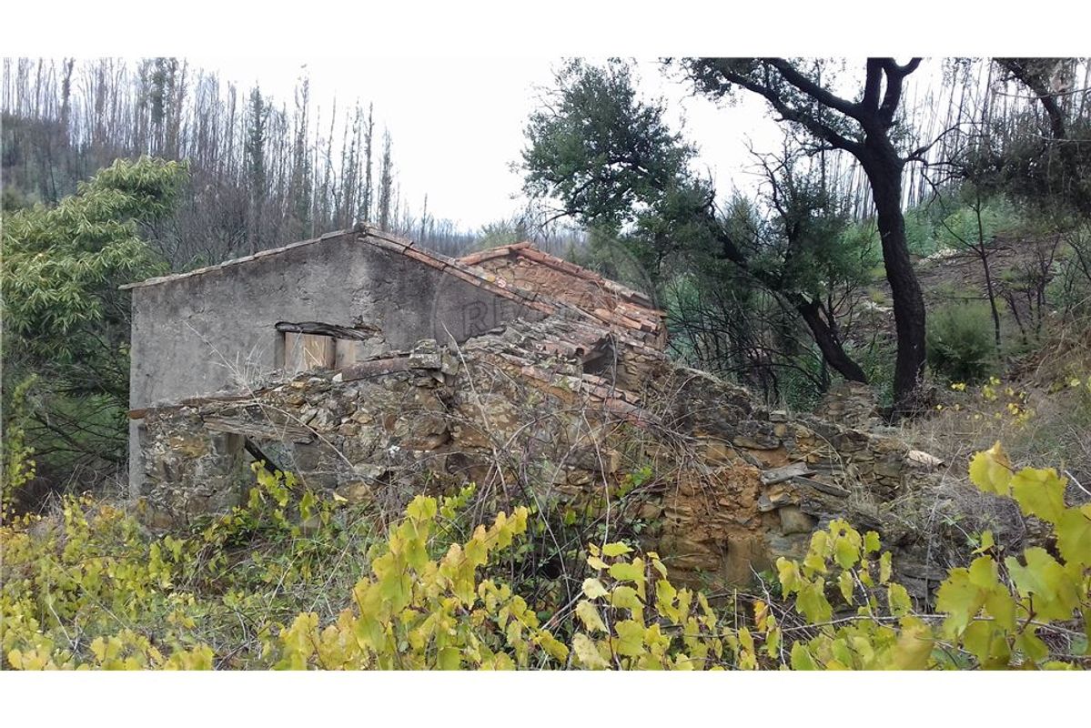 3 bedrooms House in Serta, Portugal No. 32050