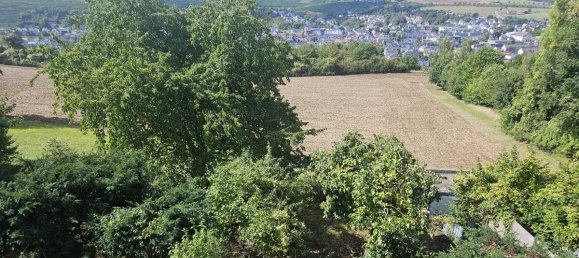 Moradia em banda de 5 divisões em Trier-Saarburg, Germany N.º 350476 8