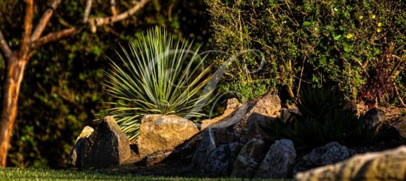 9 bedrooms House in Sintra, Portugal No. 164064 11