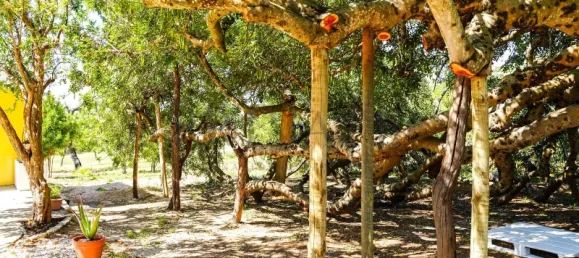 6 Schlafzimmer Villa in Faro, Portugal, Nr. 97265 2