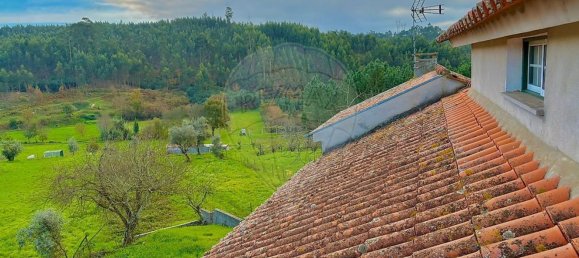 3 Schlafzimmer Haus in Sao Joao da Boa Vista, Portugal, Nr. 33681 13