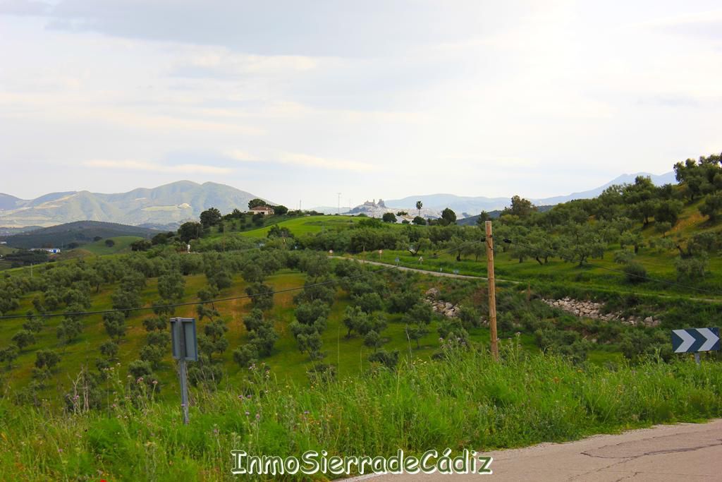 Terrain à Cadiz, Spain 692m² No. 184024