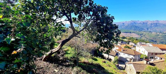 1 Schlafzimmer Haus in Salamonde, Portugal, Nr. 180246 4