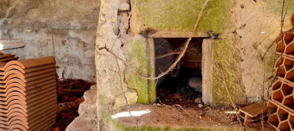 1 Schlafzimmer Haus in Salamonde, Portugal, Nr. 180246 11