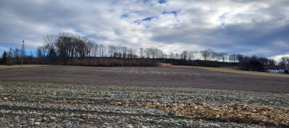 Grundstück in Alkoven, Austria 28880m², Nr. 16146 3