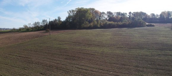 Grundstück in Alkoven, Austria 28880m², Nr. 16146 2