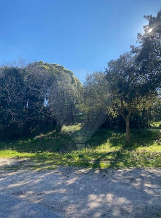 Terrain à Mafra, Portugal 8000m² No. 282625