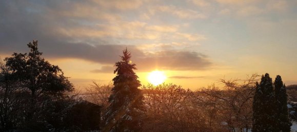 Дом с 5 комнатами в Меркиш, Германия № 337040 19