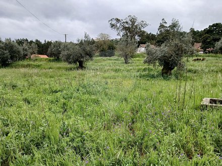 Grundstück in Ourem, Portugal, Nr. 150851