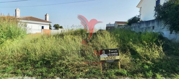 564m² Land in Santarem, Portugal No. 71030 16