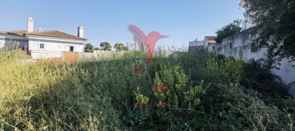 564m² Land in Santarem, Portugal No. 71030 7