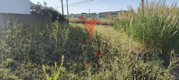 564m² Land in Santarem, Portugal No. 71030 12