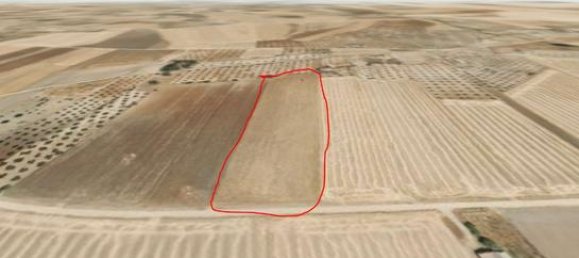  قطعة أرض في La Haba, Spain 16553متر مربع رقم 183063 3