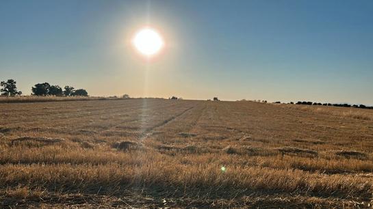  قطعة أرض في La Haba, Spain 16553متر مربع رقم 183063