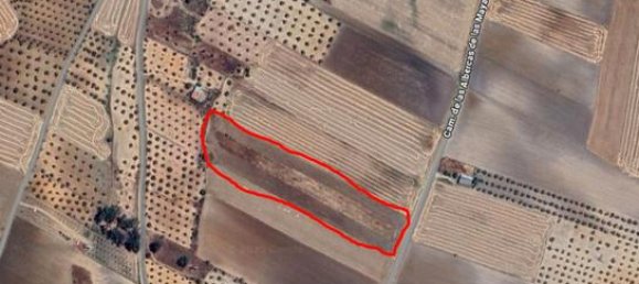  قطعة أرض في La Haba, Spain 16553متر مربع رقم 183063 2