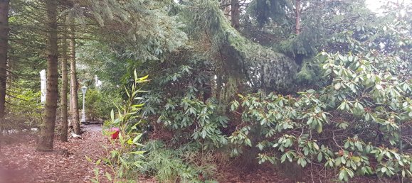 5 Schlafzimmer Stadthaus in Harburg, Germany, Nr. 217986 29