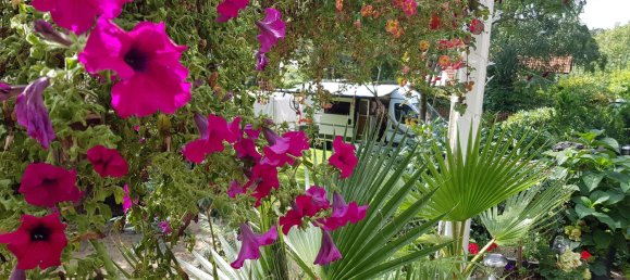 5 Schlafzimmer Stadthaus in Harburg, Germany, Nr. 217986 27