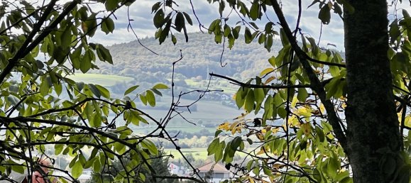 Земельный участок в Майн-Кинциг, Германия № 296938 6