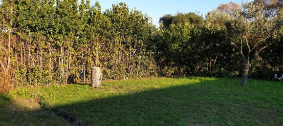 1500m² Land in Aprilia, Italy No. 255919 2