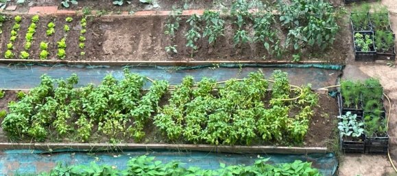 5 rooms Apartment in Massa, Italy No. 109945 5