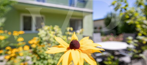 3 bedrooms House in Favoriten, Austria No. 215807 3