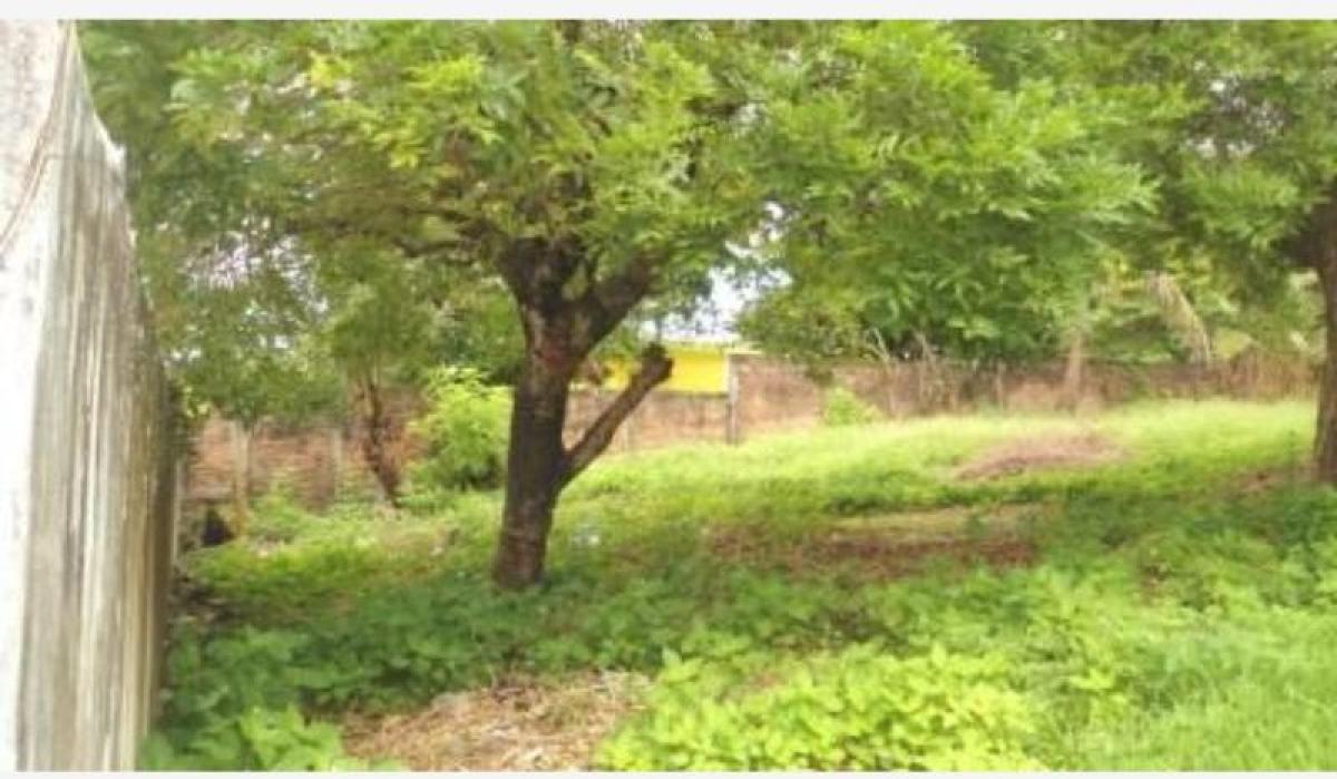  قطعة أرض في Veracruz, Mexico رقم 205800