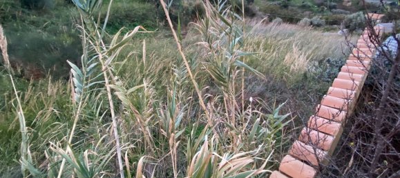 قطعة أرض في Amantea, Italy 1000متر مربع رقم 254180 3