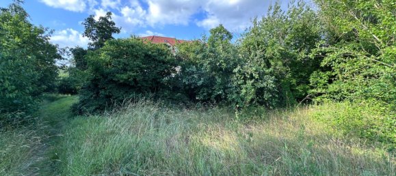  Land in Leipzig, Germany No. 281315 3