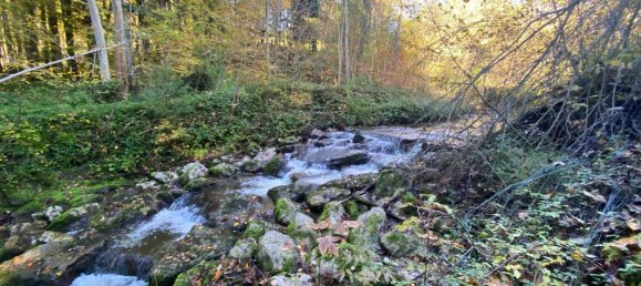 Земельный участок в Зехам, Австрия № 164965 4