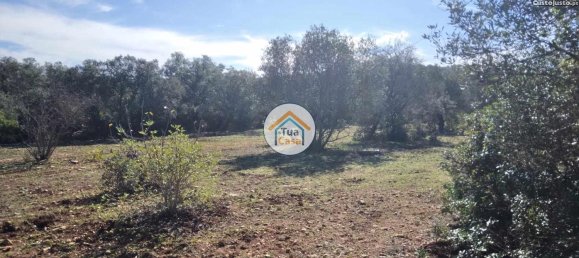 Земельный участок 16500м² в Сан Браш ди Алпортел, Португалия № 76028 3