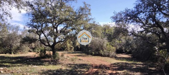 Земельный участок 16500м² в Сан Браш ди Алпортел, Португалия № 76028 15