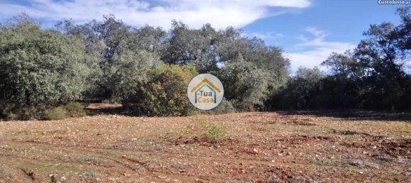 Земельный участок 16500м² в Сан Браш ди Алпортел, Португалия № 76028 16