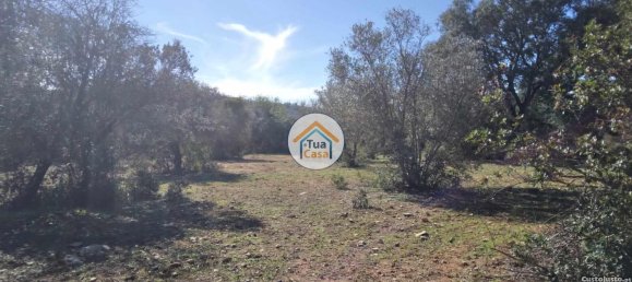 Земельный участок 16500м² в Сан Браш ди Алпортел, Португалия № 76028 14