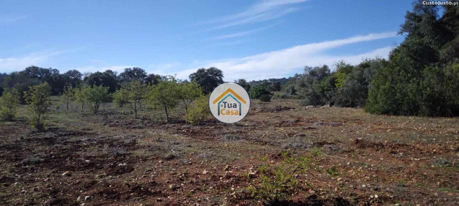 Земельный участок 16500м² в Сан Браш ди Алпортел, Португалия № 76028