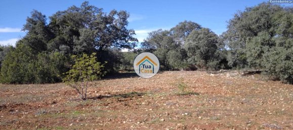 Земельный участок 16500м² в Сан Браш ди Алпортел, Португалия № 76028 10