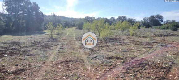 Земельный участок 16500м² в Сан Браш ди Алпортел, Португалия № 76028 6