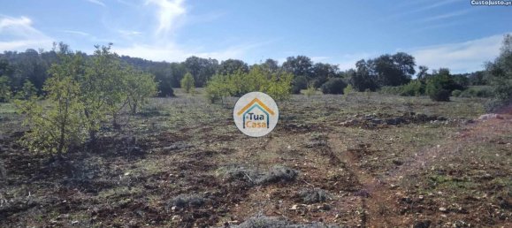 Земельный участок 16500м² в Сан Браш ди Алпортел, Португалия № 76028 4