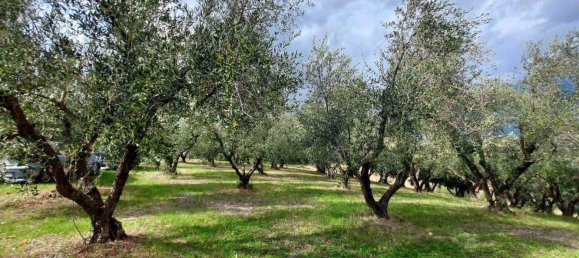 2720m² Land in Ostra Vetere, Italy No. 278348 12