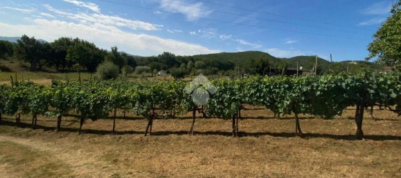 Casa de 5 divisões em Fontechiari, Italy N.º 76776 25