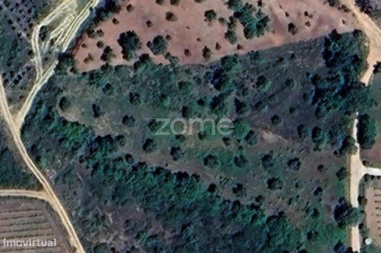 Земельный участок 5611м² в Орен, Португалия № 63136