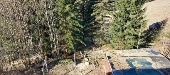 Дом с 3 комнатами в Фогтланд, Германия № 67536 17