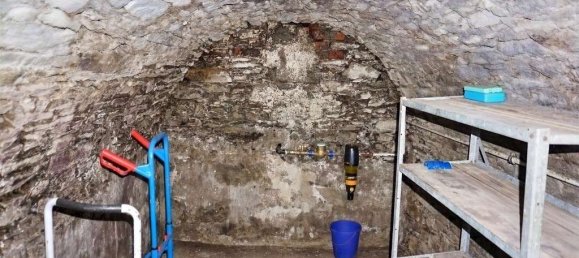 Дом с 3 комнатами в Фогтланд, Германия № 67536 19