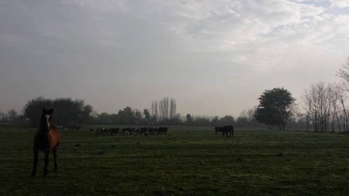 قطعة أرض في Maule, Chile رقم 902