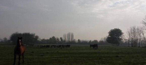  قطعة أرض في Maule, Chile رقم 902 2