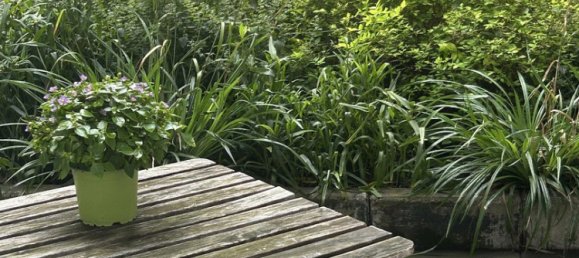 1 chambre Appartement à Schoneberg, Germany No. 249736 9