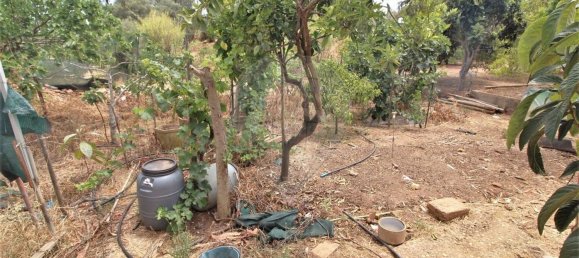 Casa T3 em Olhão, Portugal N.º 16324 14